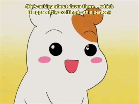 Hamster answers phone [Oruchuban Ebichu] :。